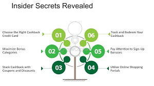 Cash Back Business Credit Cards: Smart Rewards for Your Company